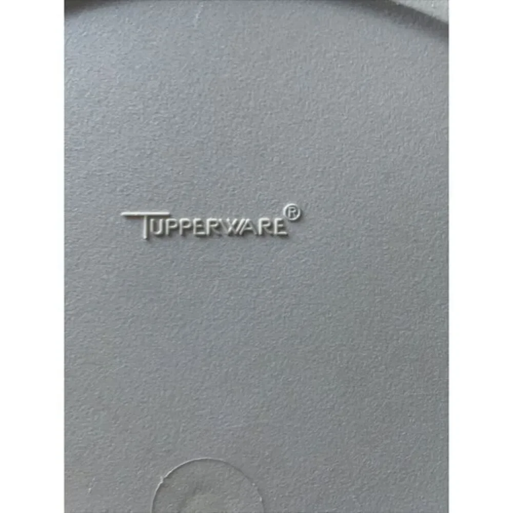 Tupperware Vintage Serving Center Tray Divided Chill Layered Veggies Chips Fruit